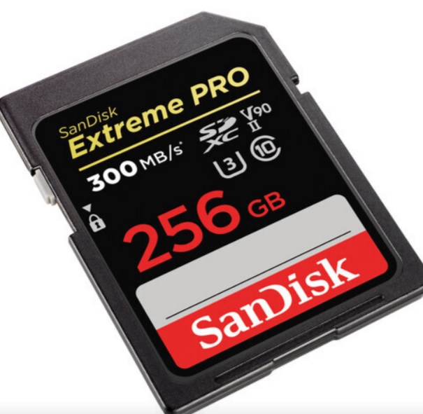 SanDisk Extreme PRO 256GB 300MB/s