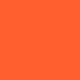 FST Background Paper "Orange" (1023)